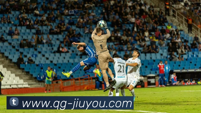 九游体育APP 封面图