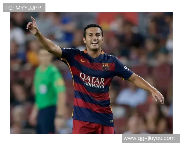 佩德罗内托与佩德罗贡萨尔维斯因伤缺席葡萄牙国家队大名单调整