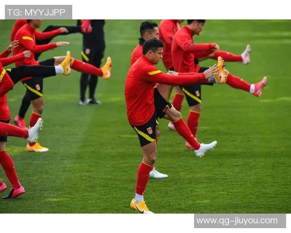 克里斯坦特坚定信心意大利全力备战明年三月世预赛 克里斯坦特坚定信心意大利全力备战明年三月世预赛